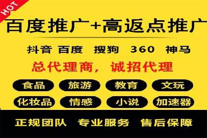 行业报告：专业SEM托管的成功实践与挑战